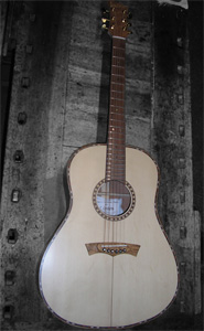 chitarra acustica tino pomele