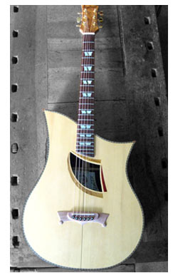 Chitarra acustica charlie3