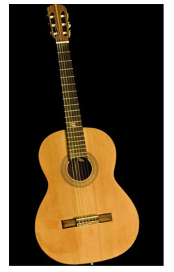 Chitarra classica eli