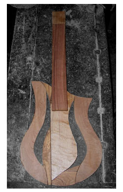 chitarra classic solid body